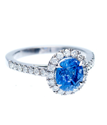 Peter Suchy Designs